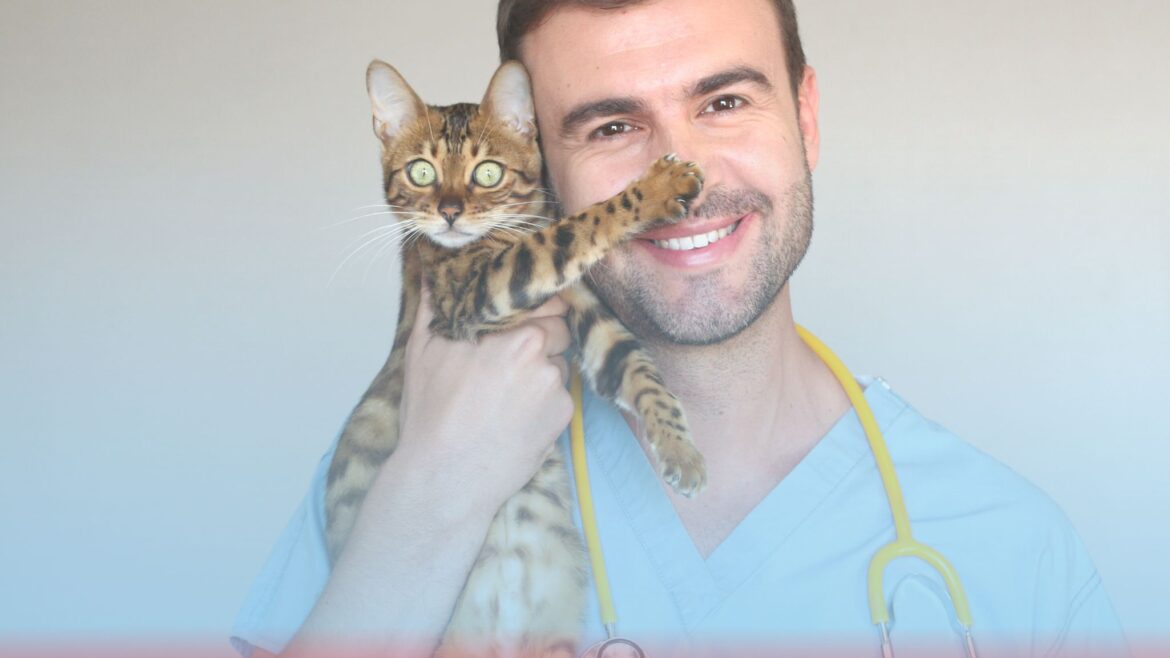 Vet-urgências-domicilio