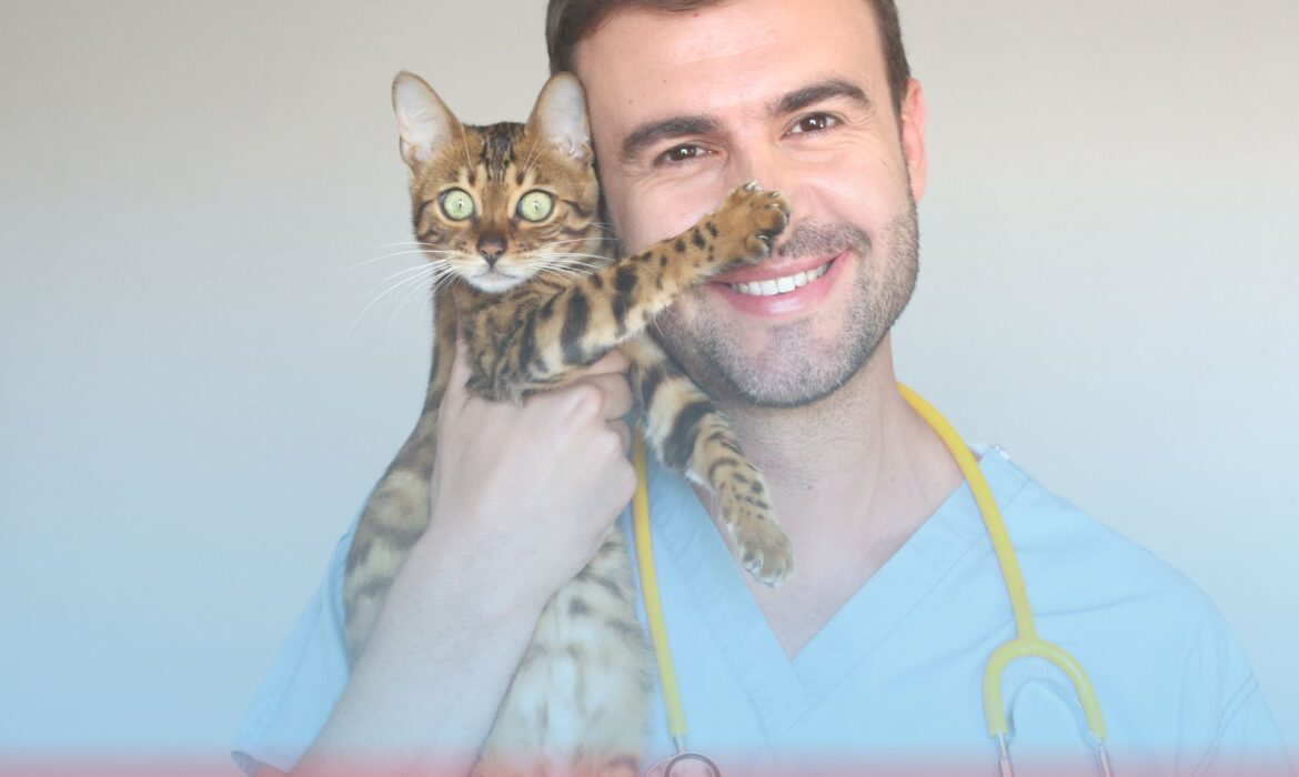 Vet-urgências-domicilio